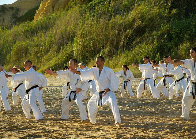 výcvik karate